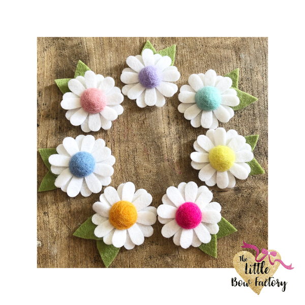 Daisy Pom pretties